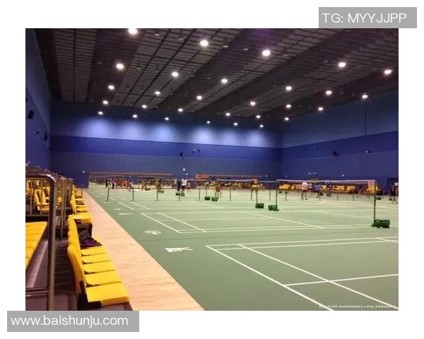 专业解读：武汉羽毛球队的阵地战打法